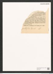 Diatomeae indet. Zeichnungen Sammlung Grunow (NHMW-BOT-W0371376)